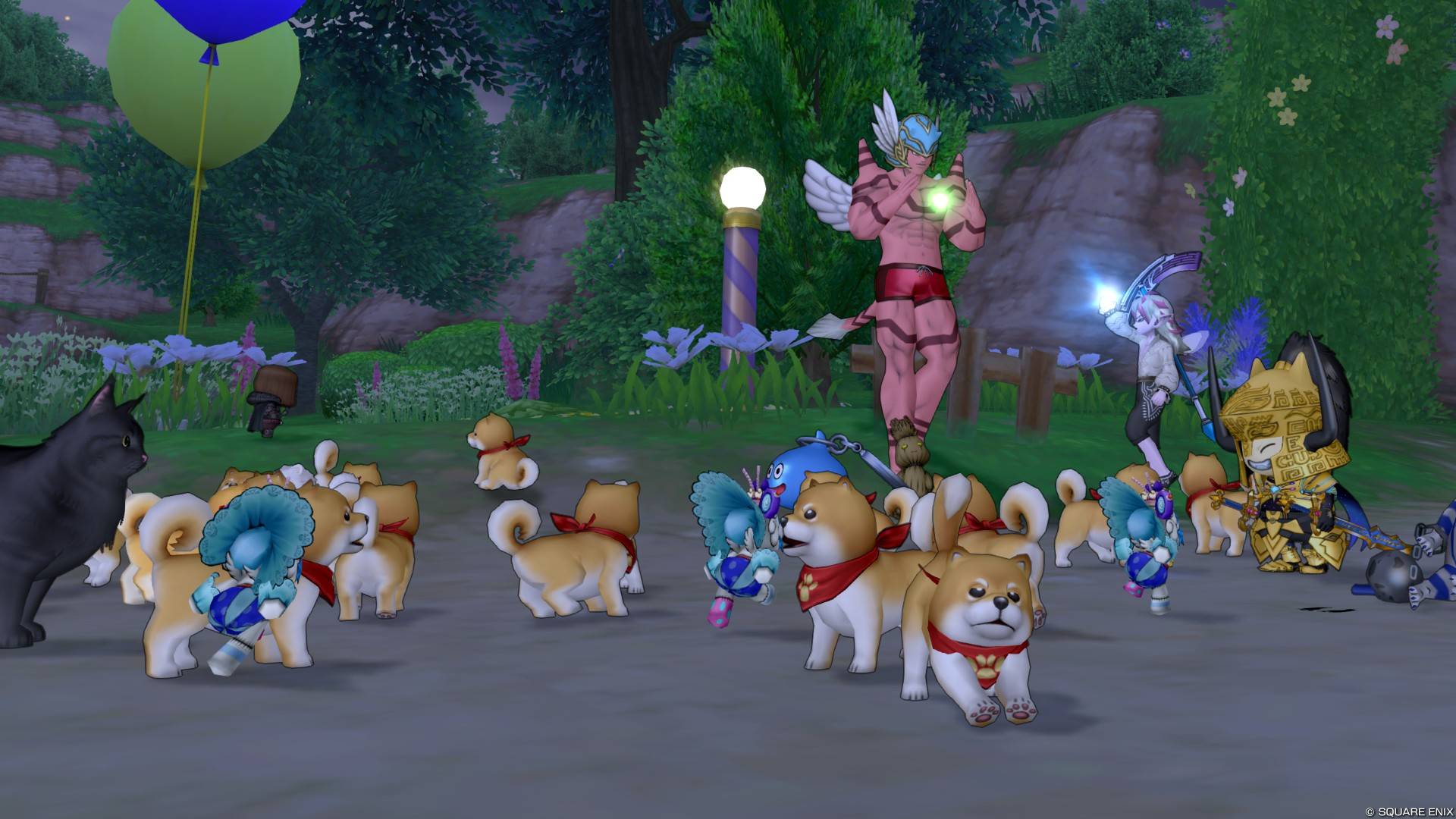 へんげの杖でドッグラン！