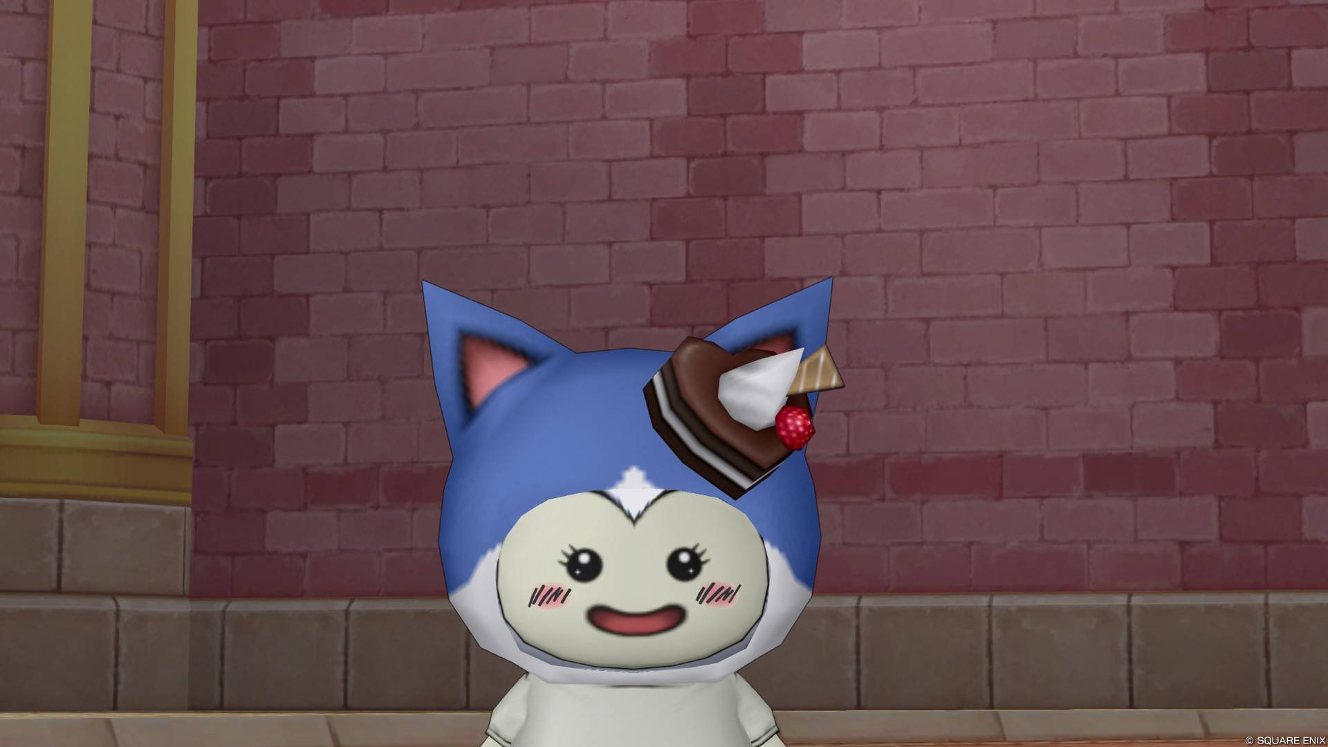 ハチワレコス
